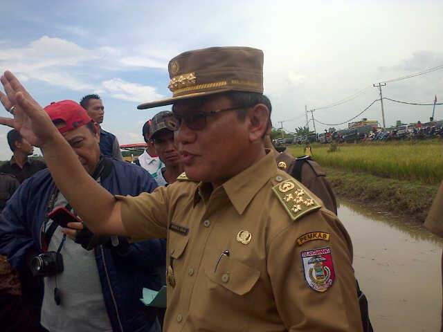 Mentan Dijadwalkan Panen Raya Padi di Tulang Bawang Lampung